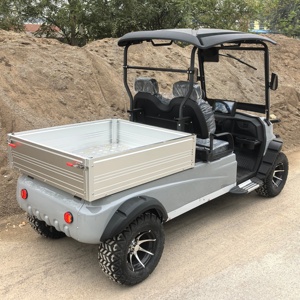 Vehículo Utilitario Eléctrico de 2 Plazas de Alto Rendimiento MK, Motor de 60V 3.5kW con Caja de Carga para Diversos Terrenos y Carga - Product Image 4