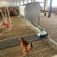 Chaîne de production clé en main personnalisée pour l'élevage de poulets de chair en cycle complet