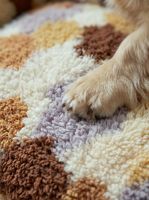 Meistverkauftes Ganzjahres-Hundebett mit Waschbarer, Abnehmbarer Farbblockierung; Winter-Wärmehaltendes, Kratzfestes Plüsch-Katzenbett