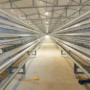 Nuova Gabbia Automatica per Pulcini QM YC-19 Tipo H, per Allevamento di Pulcini di un Giorno, Quaglie e Uccelli, Capacità 90-200, Garanzia 1 Anno - Product Image 2