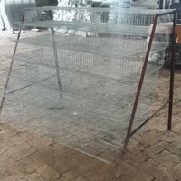 Cage à cailles en plastique à 6 étages à vendre (usine de Guangzhou)