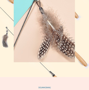 CFA Grade Spring Cat Teaser Wand con mango de madera Feather Bell Refill - Product Image 6