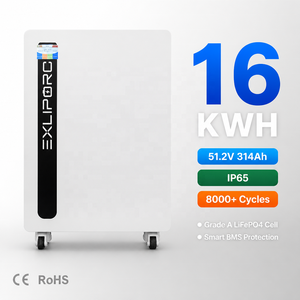 16kWh LiFePO4 Lithium <b>Battery</b> 51.2V 314Ah IP65 8000 Cycles Solar Self-Consumption <b>Backup</b> Power Wall Floor Mount - Product Image 1