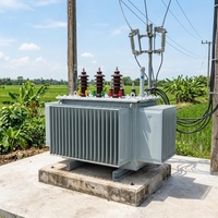 Équipement électrique Ganzhong S13 S15 Transformateur de distribution entièrement étanche immergé dans l'huile Certifié IEC ANSI Amélioration du réseau rural Énergie solaire photovoltaïque Élévateur de tension 380V