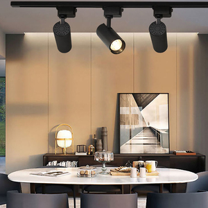 Kinh Tế Phong Cách Thương Mại Theo Dõi Ánh Sáng <span class=keywords><strong>COB</strong></span> 20W 30W Đèn Tại Chỗ <span class=keywords><strong>LED</strong></span> Tuyến Tính Theo Dõi Spotlight Hệ Thống - Product Image 3