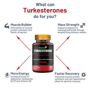 Turkesterone Capsules d'extrait de plantes Comprimés de soutien musculaire Croissance musculaire naturelle Produits de beauté pour hommes 60 unités - Product Image 6