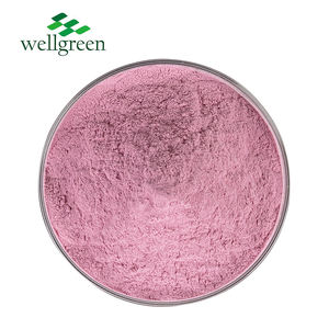 Venda quente Alta Água Pó De Bebidas Solúvel Laranja Sangue Concentrado Suco Em Pó Laranja Vermelha Em Pó - Product Image 1