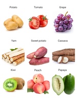 Hoog Efficiënte Geoptimaliseerde Automatische 304 RVS 2-6 Ton/uur Wortel Tomaat Aardappel Fruit Groente Stoomschilmachine
