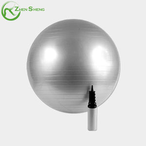 Zhensheng anti-éclatement fabricant ODM OEM Promotion entraînement entraînement balle de grossesse balle de naissance balle de yoga - Product Image 2