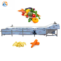 Industriële Automatische Fruitgroente Banaan Patat Chips Stoomblancheermachine