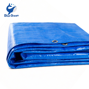 Bâche en polyéthylène (PE) hautement durable, imperméable, résistante aux déchirures et personnalisable pour couverture extérieure. - Product Image 2