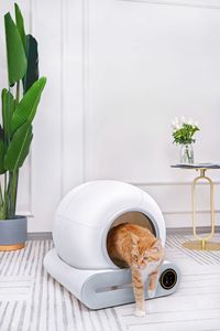 Autonettoyant intelligent automatique <span class=keywords><strong>toilette</strong></span> pour <span class=keywords><strong>chat</strong></span> litière pour <span class=keywords><strong>chat</strong></span> maisons - Product Image 5