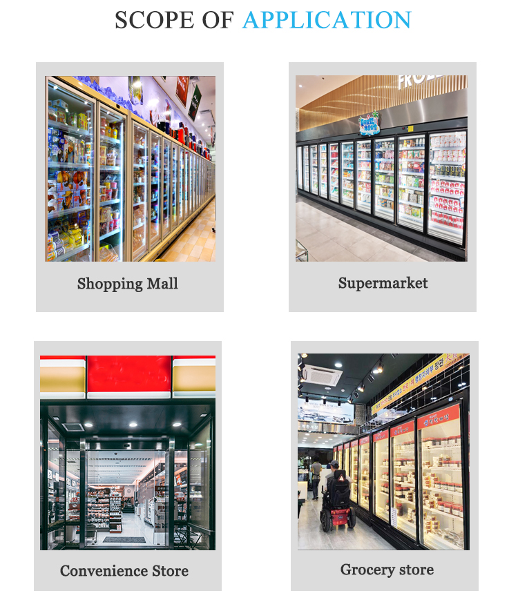 Commercial refrigerator glass door cold beverage fresh food showcase supermarket retail upright display freezer