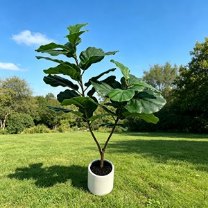 Artificial <b>Tree</b> Green <b>Potted</b> with Piano Leaf Banyan Ornaments for Living Room Floor Simulation - Product Image 3