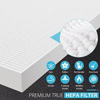 Filtro HEPA H13 H14 de Alta Eficiencia, Elemento Filtrante de Levitación Magnética para Aplicaciones Alimentarias, Farmacéuticas y Médicas