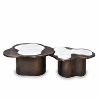 Nouvelle table basse en marbre et acier inoxydable de forme irrégulière, durable et facile à nettoyer, pour salon, maison, villa, hôtel