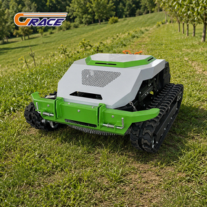 Livraison Gratuite Euro 5 EPA Mini CE EURO 5 EPA Tondeuse à Gazon Télécommandée RC pour Ferme - Product Image 3