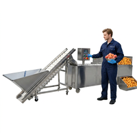 Nieuwe fruit- en groenteverwerkingsmachine 4,2 kW automatische snijmachine met PLC-besturing, hoge capaciteit, gemotoriseerd