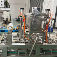 La boîte de classement automatique de tofu de saveur continue la machine à emballer remplissante de cachetage de plateau/tofu faisant la machine