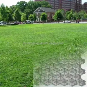 Griglia di ghiaia finitrici a griglia di plastica permeabile all'erba per auto