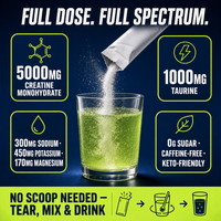 Créatine monohydrate à absorption rapide, électrolytes en poudre, 5 g par sachet, sans sucre, mélange pour boisson hydratante pour les athlètes et la salle de sport