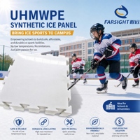 Panneaux de glace synthétique UHMWPE, plaques de patinoire artificielle, utilisation en climat froid et chaud, large plage de température