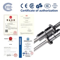 Tornillo de Bolas Lineal de Fábrica China SFK0802 0401 0601 1002 1004 Mini de 4mm 6mm 8mm 10mm para Equipos de Automatización