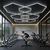Éclairage de studio de spinning géométrique prêt à l'emploi 6500K 120lm/W PC Dimmable OEM/ODM Montage DIY Haute Luminosité pour Salle de Cyclisme