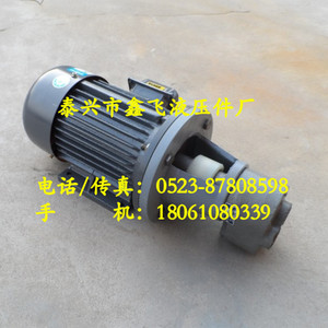 Ensemble de pompe à huile pour engrenages verticaux et horizontaux LWBZ-80 LWBZ-100 LWBZ-125, moteur YE2 112M-4 4KW, pompes hydrauliques - Product Image 3