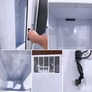 Ice Displaying Glass Doors Cold Storage Refrigerator Static Cooling Bagged Ice Storage Bin Big Capacity Ice Merchandiser - Product Image 4