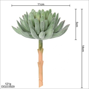 <span class=keywords><strong>Flor</strong></span> de plástico de planta <span class=keywords><strong>suculenta</strong></span> <span class=keywords><strong>Echeveria</strong></span> flocada personalizable para decoración de ventanas - Product Image 3