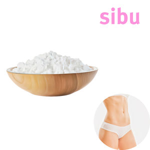 Figure Gestion du poids Sibu Régulation de l'appétit Sibu Poudre brute Supplément de soutien métabolique Sibu - Product Image 1
