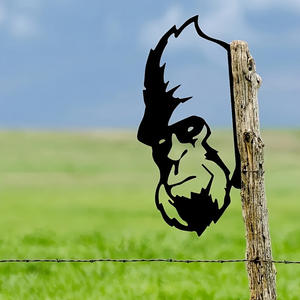 Best-Selling Cross-Border <b>Metal</b> Farm Animal Patio Wall Decorations Independent Websites Outdoor Wrought Iron <b>Metal</b> <b>Arts</b> - Product Image 4