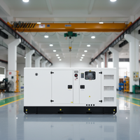 Générateur diesel professionnel 30 kVA-3750 kVA, type super silencieux, démarrage électrique, type conteneur, 10 kW-3000 kW