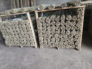 ไม้ไผ่สำหรับทำดอกไม้ ไม้ค้ำยันทางการเกษตร ไม้ค้ำยันพืชแห้งธรรมชาติ ไม้ตันกิ้น ผู้ผลิตจากเวียดนาม สินค้าขายดี - Product Image 5