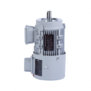 YEJ Động Cơ Phanh Từ Tính Vỏ Nhôm Động Cơ Cảm Ứng Không Đồng Bộ Ba Pha Với Hộp Đầu Cuối 99V 170V 220V 380V 660V - Product Image 5