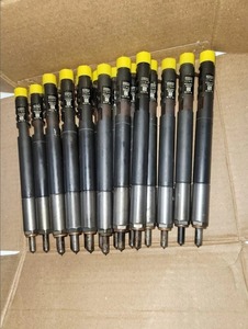 Injecteur Del PHI authentique : 28280600 / EJBR04901D pour Ta-ta 2.2 L Dicor 1 pièce Livraison gratuite - Product Image 4
