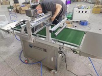Semoir automatique pour semis en plateau de pépinière