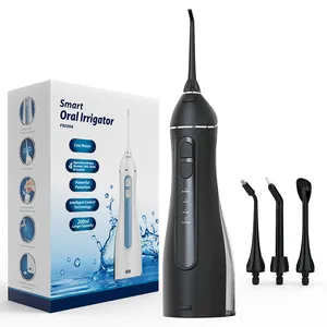 Irigator Mulut Tanpa Kabel Flosser Air OEM 200Ml 250Ml 300Ml Hitam Isi Ulang Murah 2 In 1 Flosser Air untuk Irigator Mulut Gigi