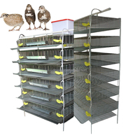 Usine chinoise pas cher prix nouveau Design cage de batterie de caille automatique avec système d'eau