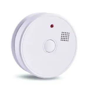 Chất lượng cao phòng cháy chữa cháy Home an ninh báo động độc lập quang điện khói Detector en14604