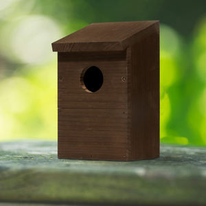 حمام خارجي ، عمود أزرق صغير ، طقم أكريليك شفاف ، مشروب منزلي - Product Image 6