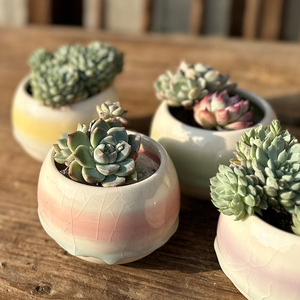 OEM/ODM Venta al por mayor Popular Maceta de cerámica para plantas suculentas con efecto craquelado, transpirable, pequeña, de porcelana artesanal, tipo jardín - Product Image 2