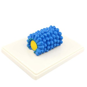 Modelos de Enseñanza de Biología para Secundaria y Bachillerato: Modelos de Virus, Escherichia coli, Bacteriófagos, Flor de Tabaco - Product Image 4