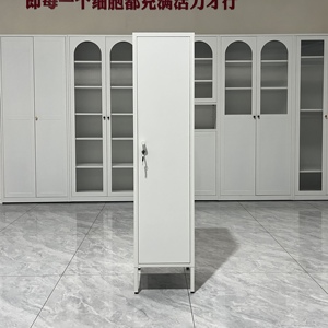 Diskon besar kabinet penyimpanan baja loker pintu tunggal 1 warna-warni baru untuk ruang tamu Modern Tallboy Steel Locke untuk bengkel kamar tidur - Product Image 2