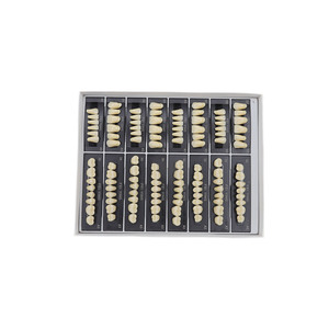 Dientes de Resina Acrílica Sintética Anteriores Superiores de Dos Capas con Certificación CE/ISO en Múltiples Tonos - Product Image 2