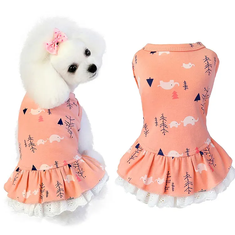Vestido de princesa de dibujos animados para perros pequeños, ropa de animales para la vida diaria, cumpleaños, nuevo diseño