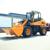 Mini-chargeuse agricole hydraulique diesel Euro 5 CE EPA pour vergers et chantiers – Meilleure vente en Chine