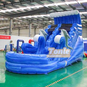 Trượt Nước Sóng Xanh Dương Trượt Cá Heo Bơm Hơi Đại Dương Có Bể Bơi Cho Trẻ Em - Product Image 2