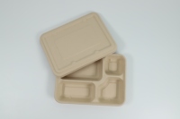 Assiette jetable biodégradable et compostable 100% Pack de plateaux alimentaires ronds écologiques avec des plats à motif végétal Utilisation pour le dîner